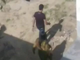 در واقع گرفتن در دانلود سکی یک