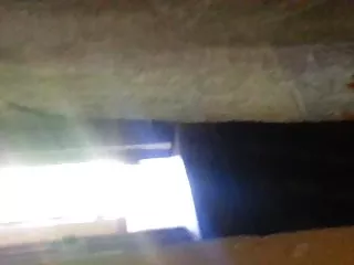 من دانلود فیلمهای س زندگی می کردند به عنوان زنده در انجمن دادن گربه